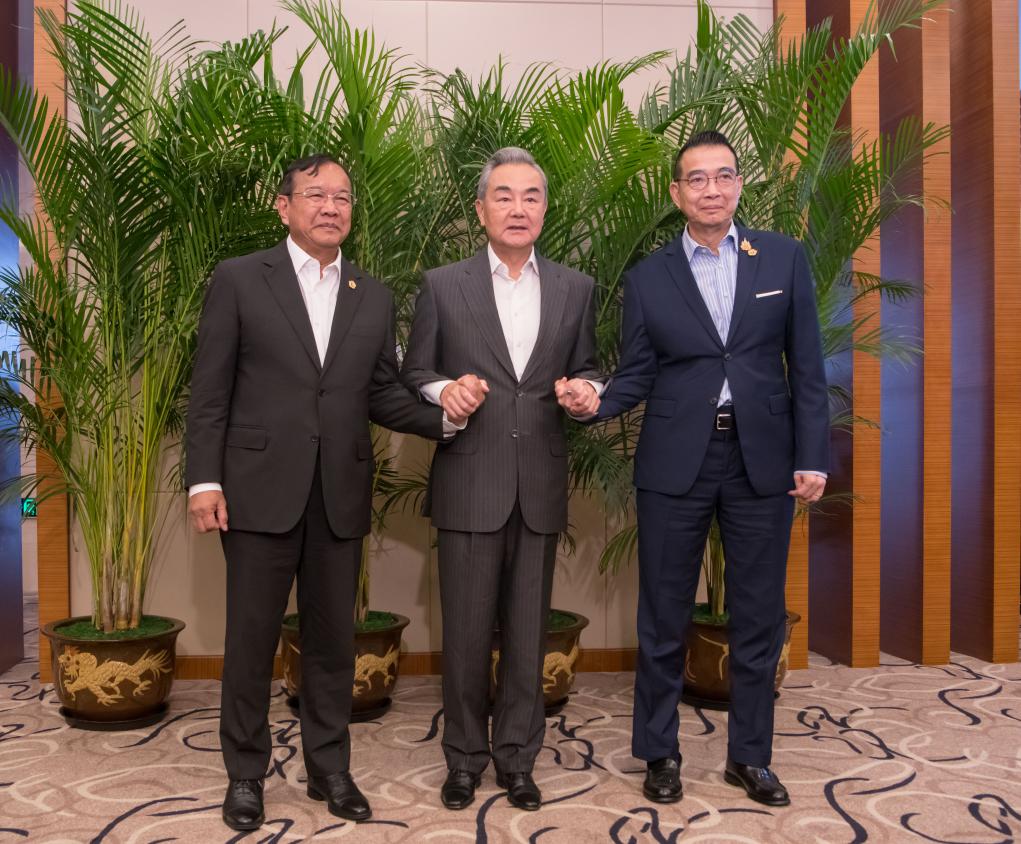 Chinese, Cambodian, Thai FMs share tea gathering in SW China