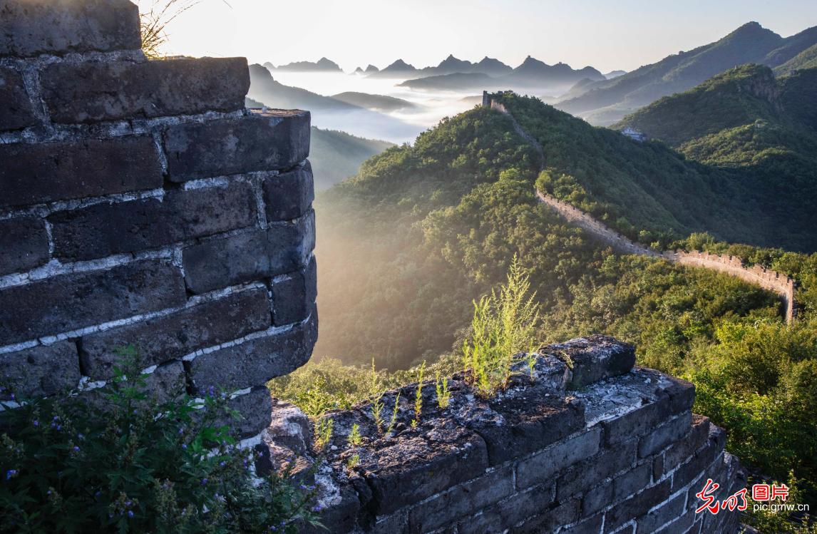 Sea of clouds over the Great Wall