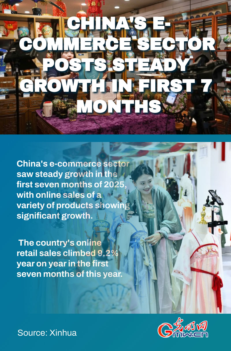 Poster: China's e-commerce sector posts steady growth in first 7 months