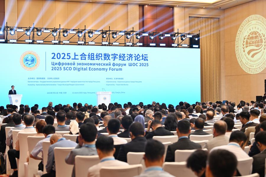 Interview: Shanghai Spirit resonates across China-proposed global initiatives, says Kyrgyz expert