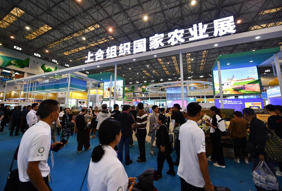 How Xi champions Shanghai Spirit to foster new type of international relations