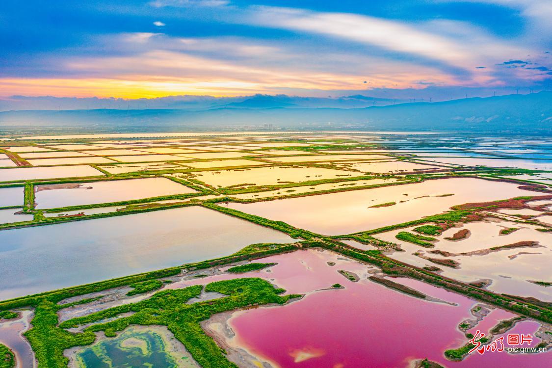 Yuncheng Salt Lake in Shanxi shines as vibrant color palette