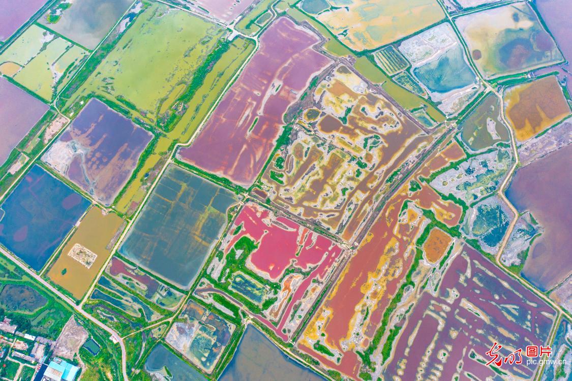 Yuncheng Salt Lake in Shanxi shines as vibrant color palette