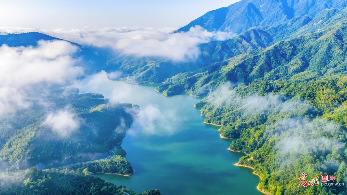 Misty lake in E China's Anhui presents picturesque scenery