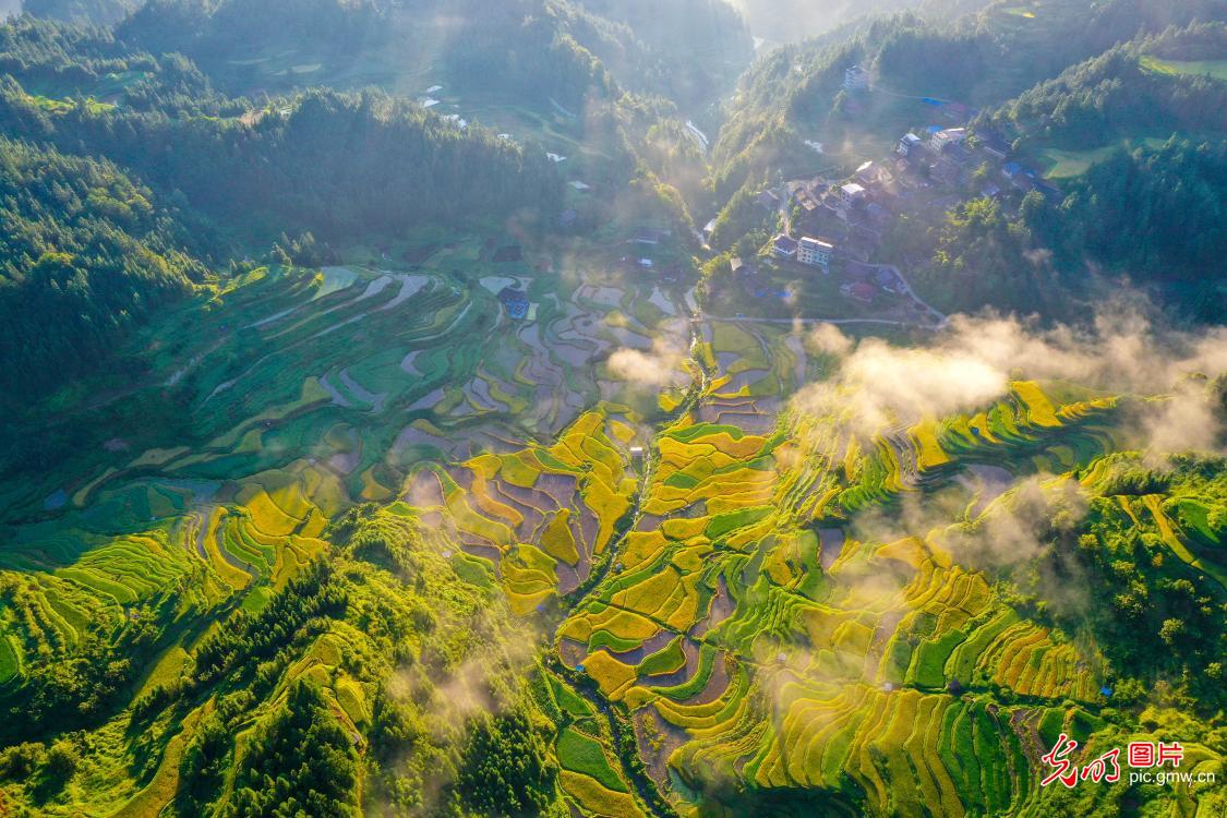 Layered terraces in S China's Guangxi wrap in clouds