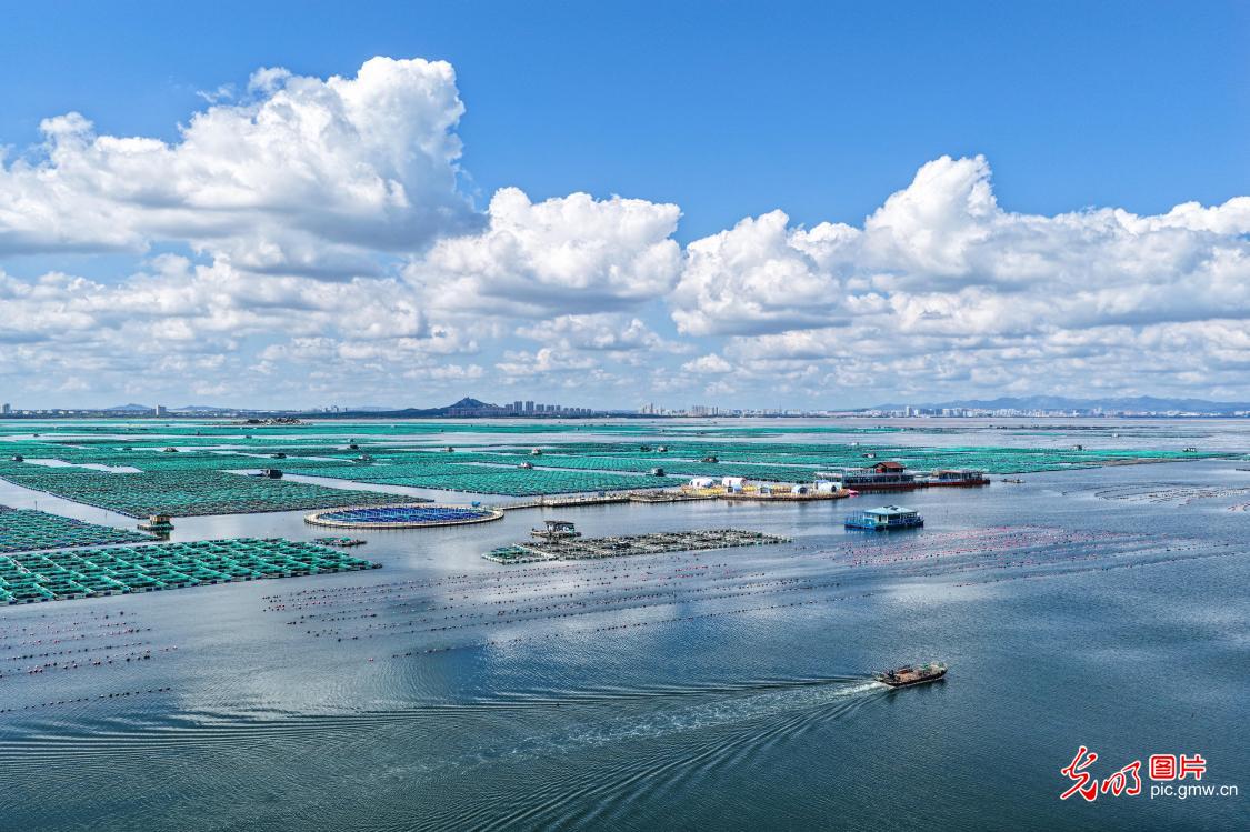 Fishermen head out to sea at national marine ranch in E China's Shandong