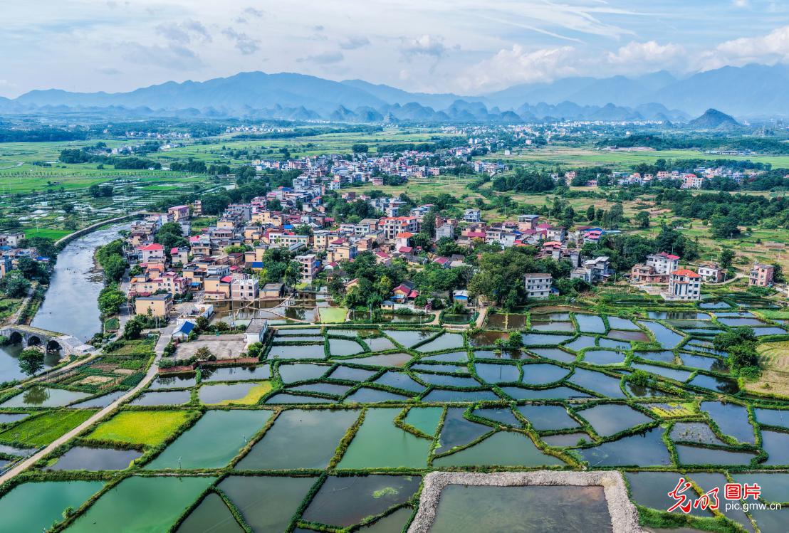 Fish ponds under blue sky sketch ecological beauty in central China's Hunan