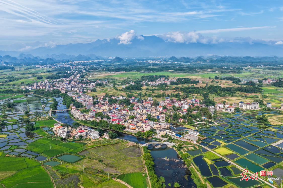 Fish ponds under blue sky sketch ecological beauty in central China's Hunan
