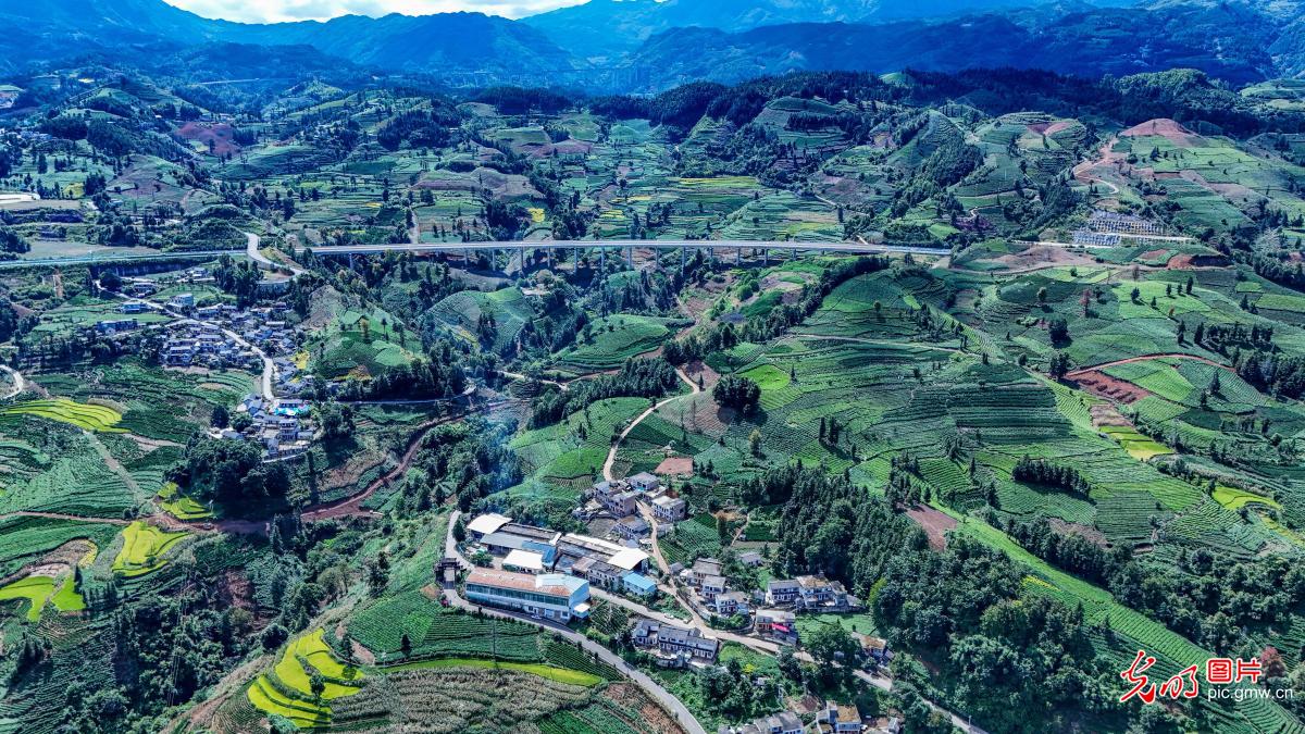 Expressway weaves through tea mountains and villages in SW China's Guizhou