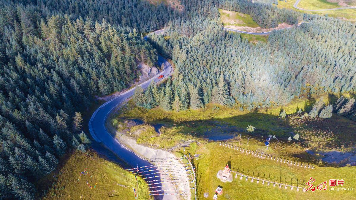 Winding mountain roads boost green development and connectivity in NW China's Gansu