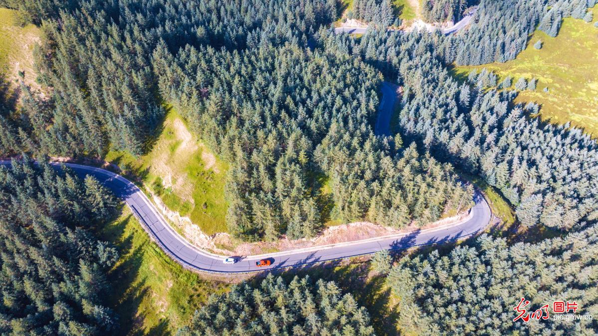Winding mountain roads boost green development and connectivity in NW China's Gansu