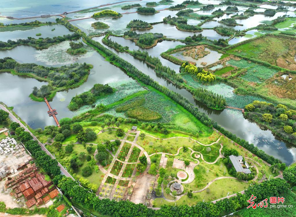 Autumn view of Yilong Lake National Wetland Park showcases scenic ecology in SW China’s Yunnan