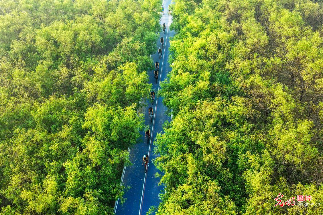 Cyclists across China celebrate World Cycling Day, promoting green lifestyles