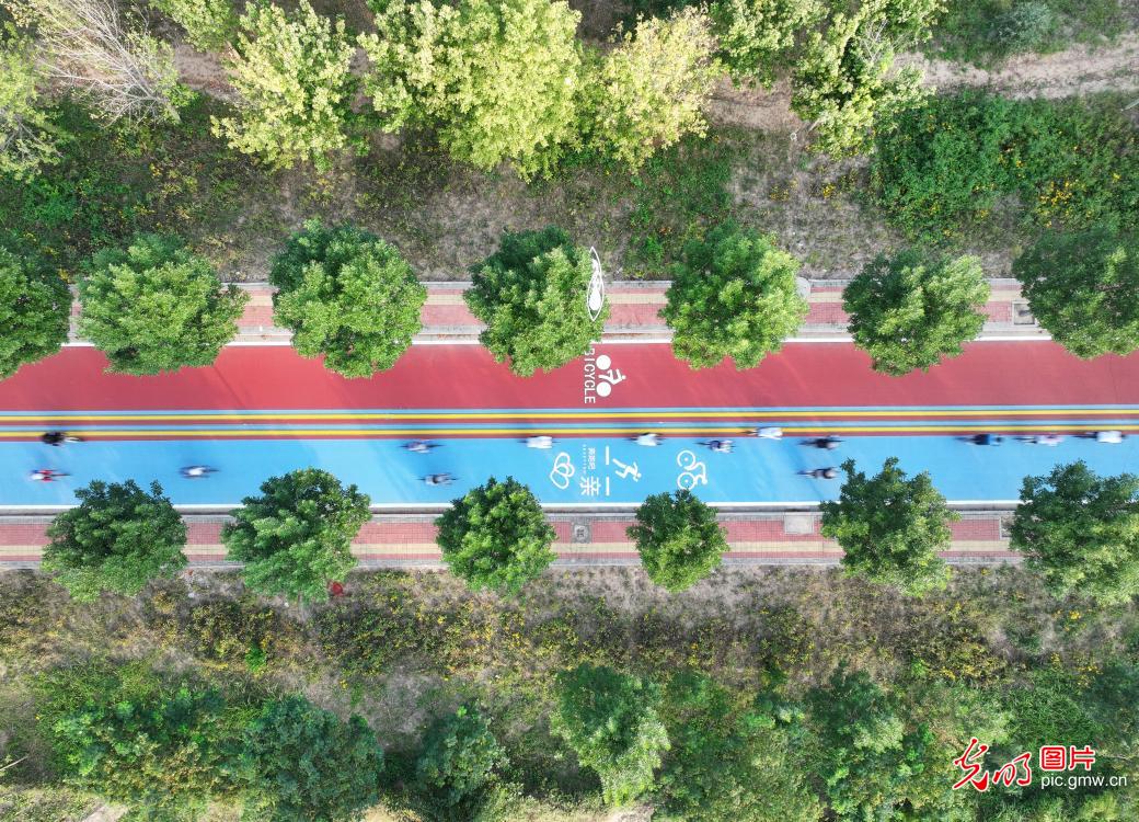 Cyclists across China celebrate World Cycling Day, promoting green lifestyles