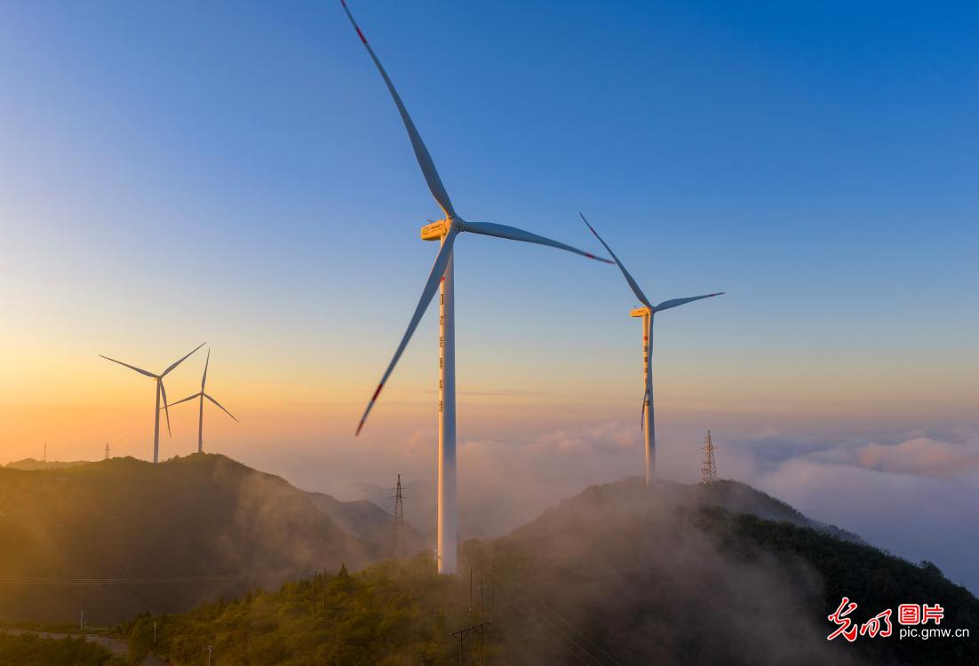 Magnificent cloud sea at wind farm