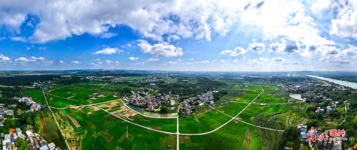 Autumn at the three-river junction in S China's Guangxi