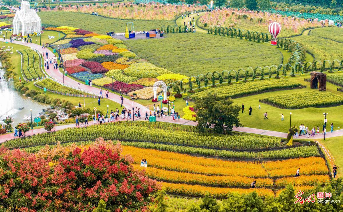 A colorful autumn draw for tourists in E China's Jiangsu