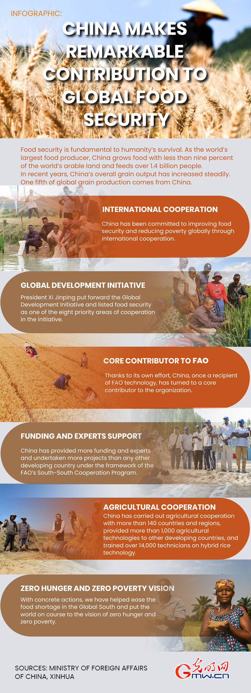 Infographic: China makes remarkable contribution to global food security