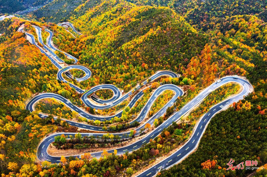 Road winds through autumn palette in N China's Taihang Mountains
