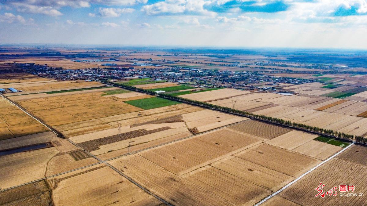 Aerial photos capture Liaoning rural revitalization