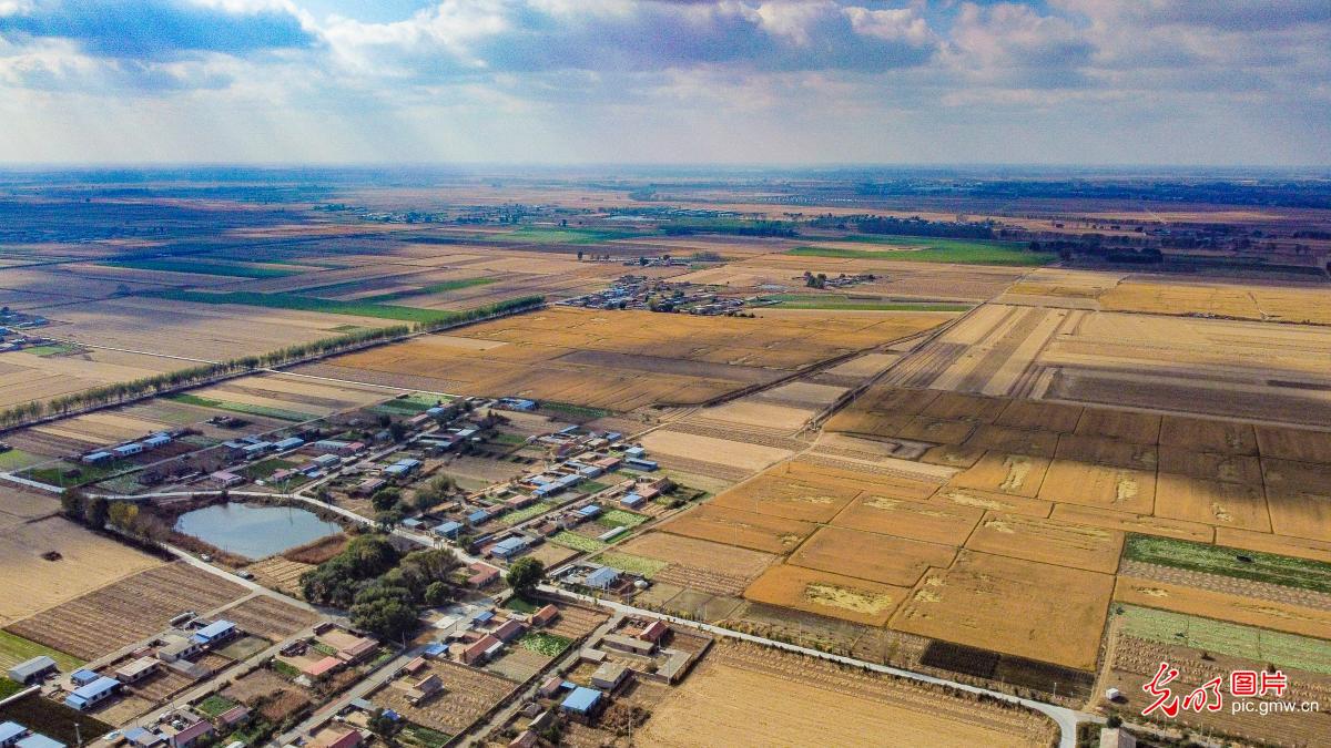 Aerial photos capture Liaoning rural revitalization