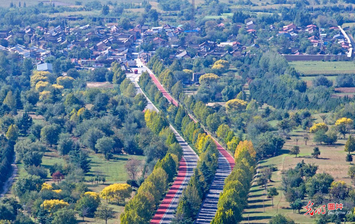 Country road winds through autumn splendor in N China's Shanxi