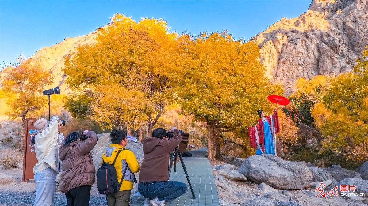 Autumn paints Xuanquan Valley