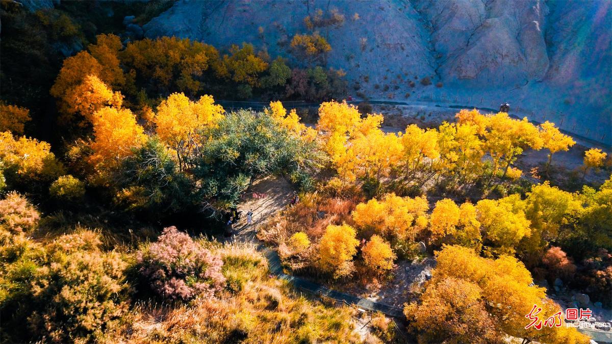 Autumn paints Xuanquan Valley