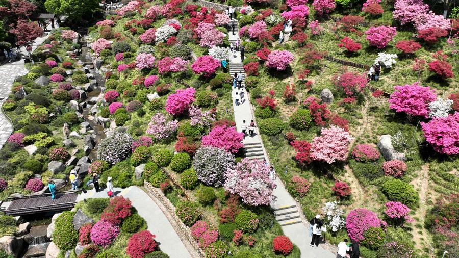 UN geospatial week in east China spotlights innovation, sustainable development
