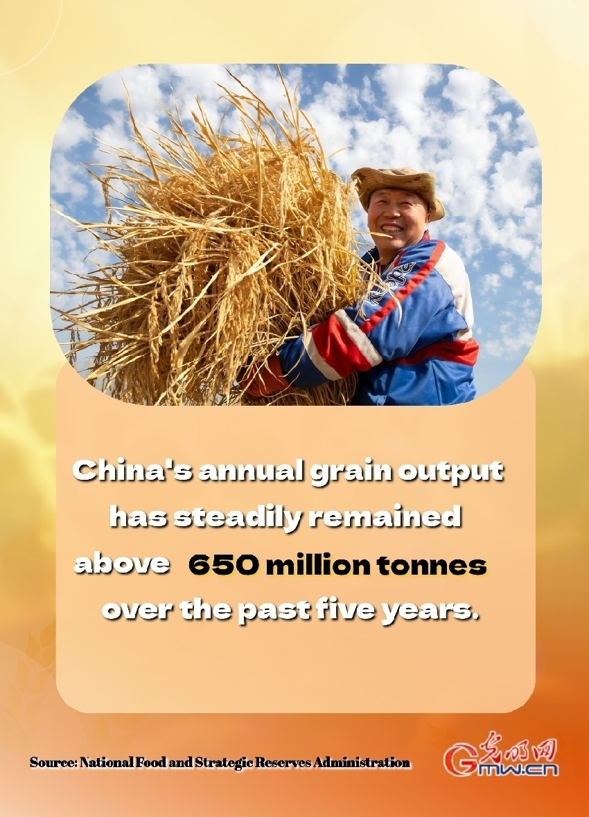 Poster: China contributes to world food security by holding its 'rice bowl' firmly Poster: China contributes to world food security by holding its 'rice bowl' firmly