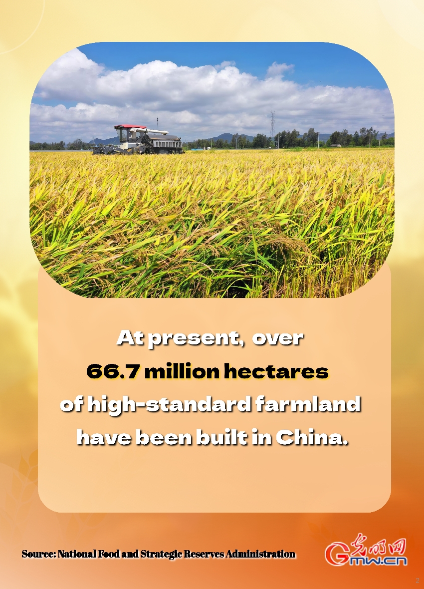 Poster: China contributes to world food security by holding its 'rice bowl' firmly Poster: China contributes to world food security by holding its 'rice bowl' firmly