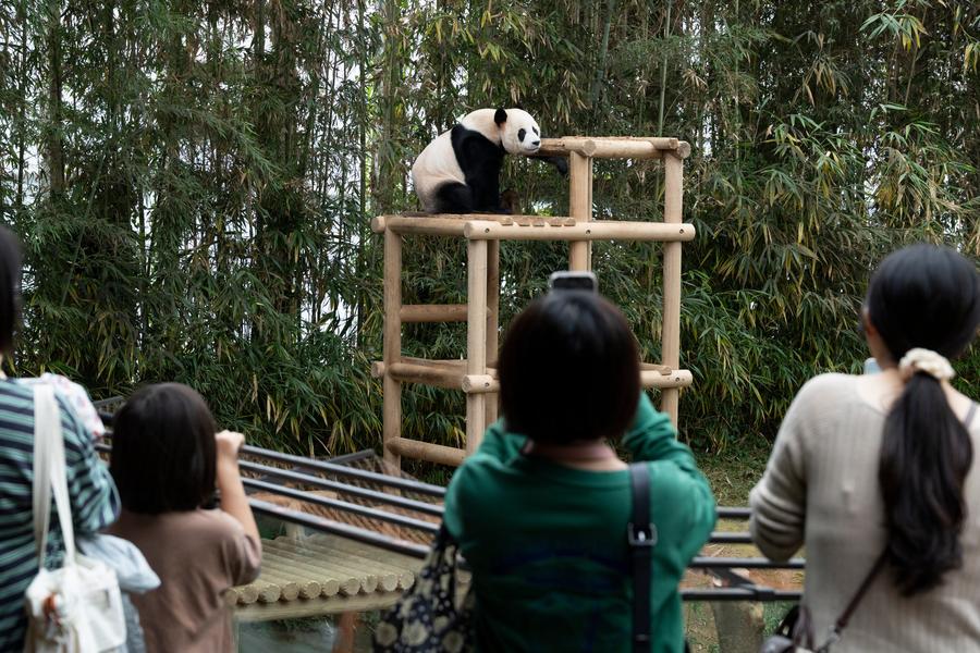 Charting a new chapter for Asia-Pacific development through unity, responsibility