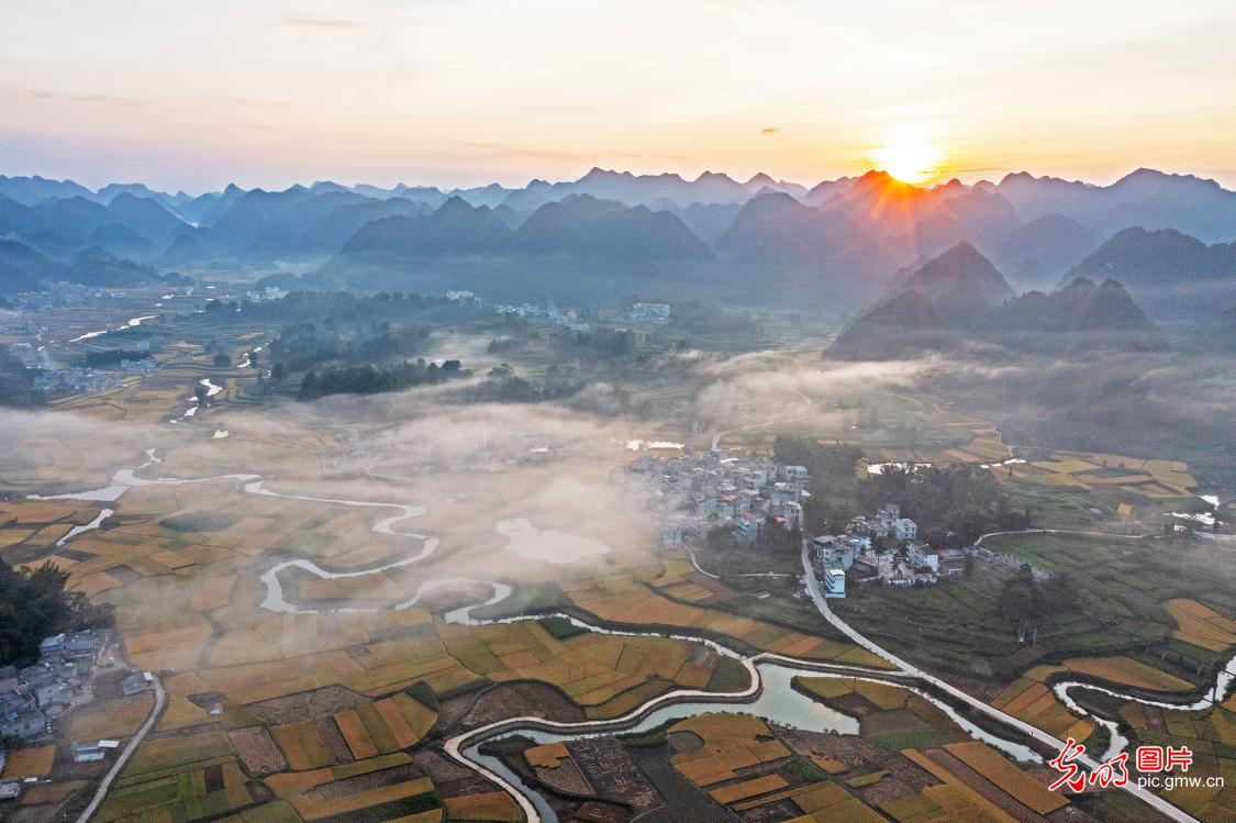 Harvest scenery glows in S China's Guangxi Harvest scenery glows in S China's Guangxi