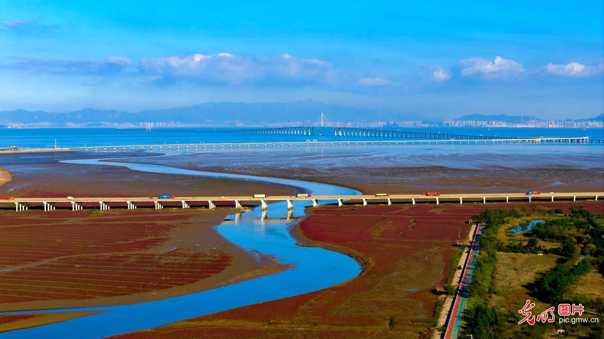 Colorful red beach in E China's Shandong Colorful red beach in E China's Shandong
