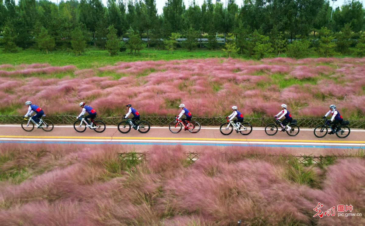People enjoy low-carbon cycling in E China's Shandong People enjoy low-carbon cycling in E China's Shandong
