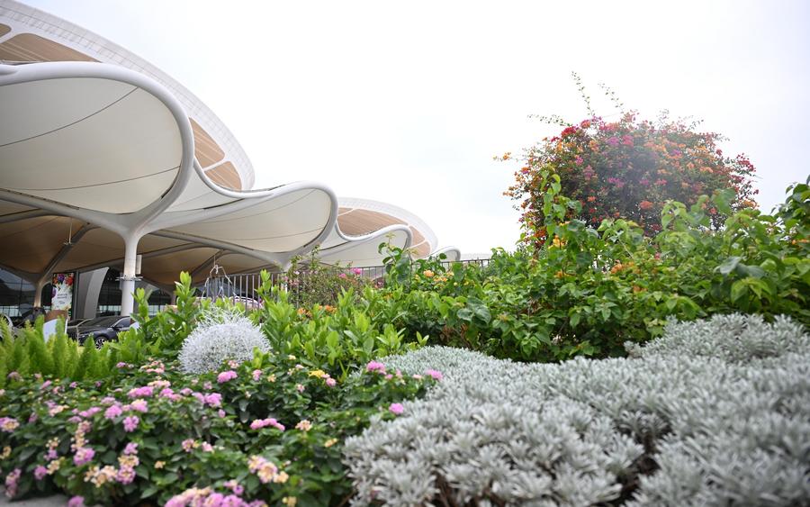 Guangzhou Baiyun Airport launches Terminal 3, fifth runway