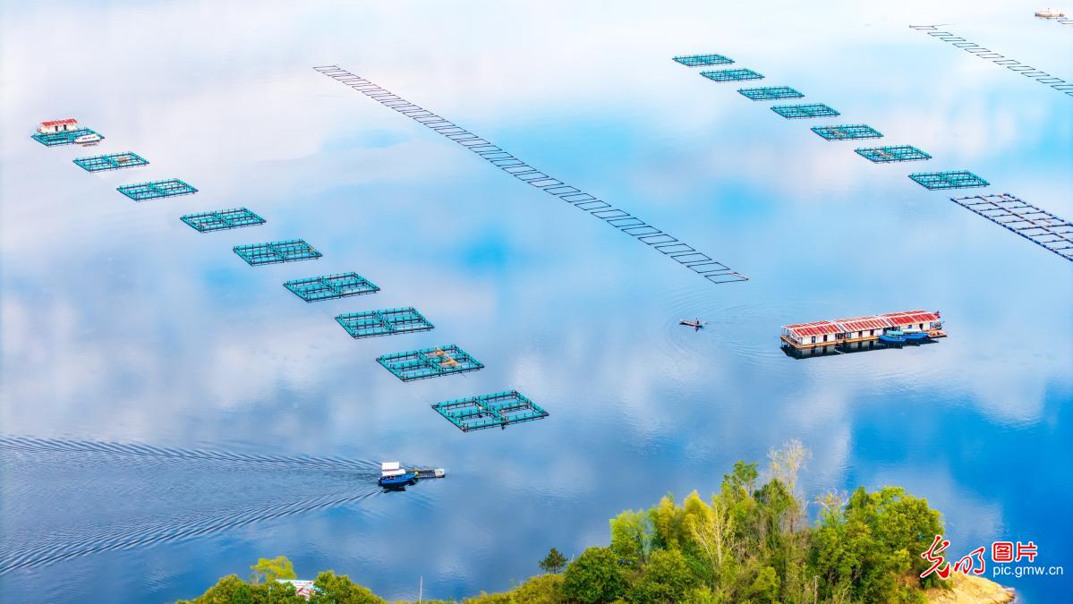 Eco-aquaculture developed in C China's Hubei Eco-aquaculture developed in C China's Hubei