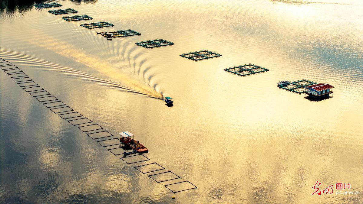 Eco-aquaculture developed in C China's Hubei Eco-aquaculture developed in C China's Hubei