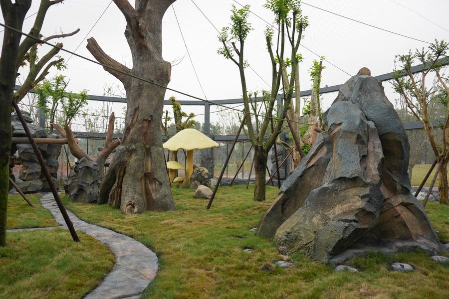 New giant panda base starts trial operation in SW China