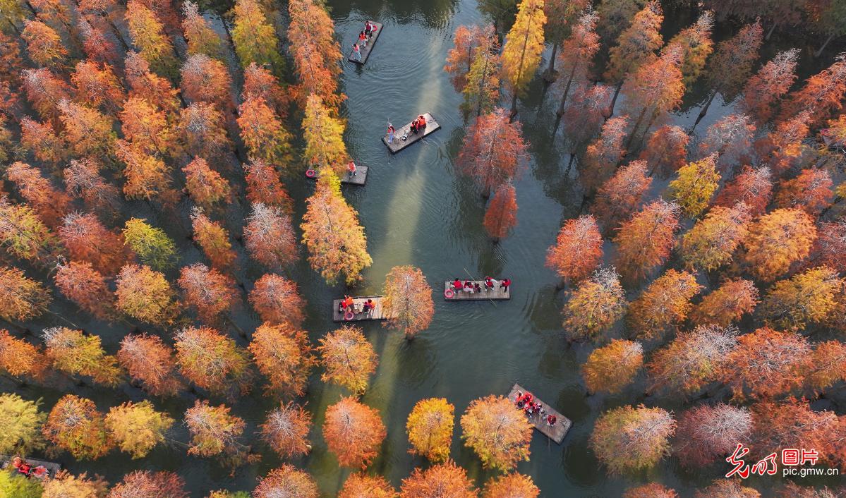 Picturesque autumn landscapes across China showcase vibrant ecological beauty