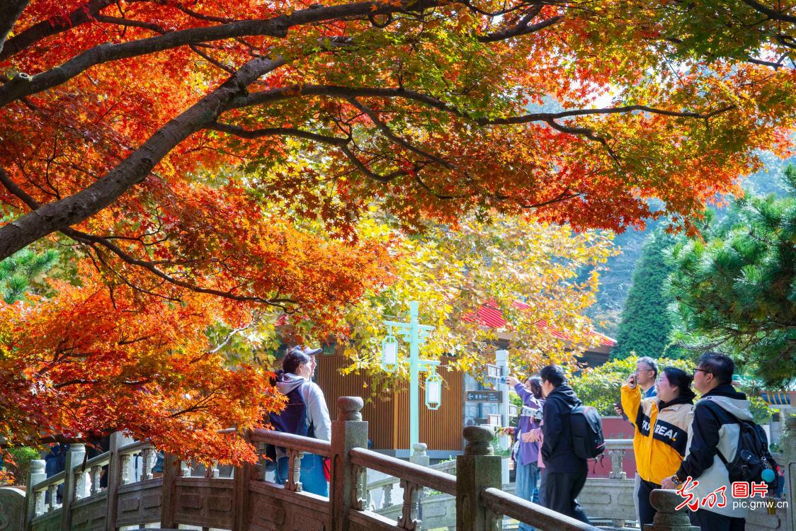 Picturesque autumn landscapes across China showcase vibrant ecological beauty