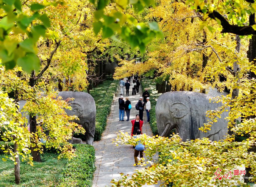 Picturesque autumn landscapes across China showcase vibrant ecological beauty
