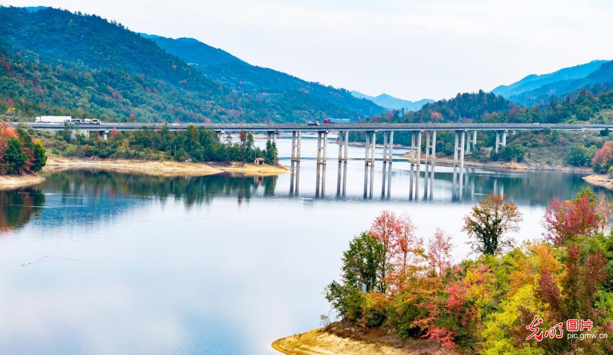 Autumn colors adorn Fenghuangguan Reservoir in central China's Hubei