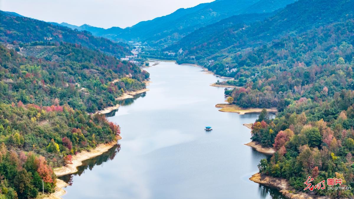 Autumn colors adorn Fenghuangguan Reservoir in central China's Hubei