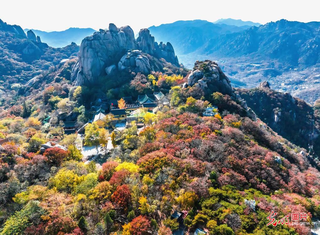 Brilliant autumn foliage paints scenic Wulian Mountain in E China's Shandong Brilliant autumn foliage paints scenic Wulian Mountain in E China's Shandong