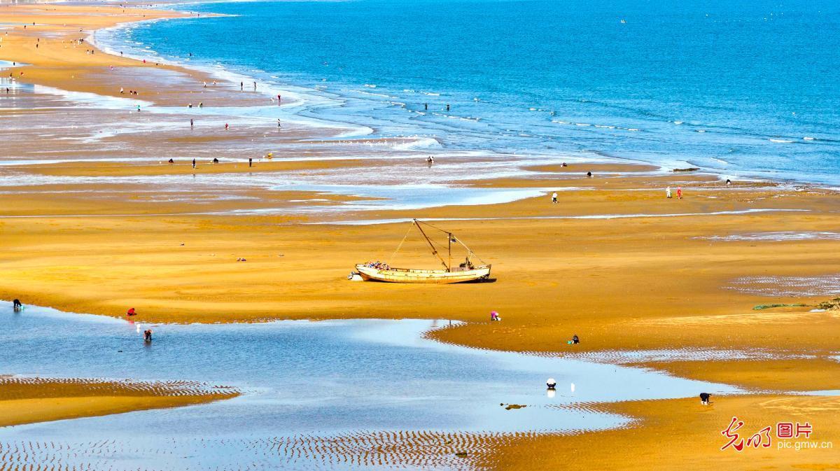 Azure sea meets golden beach in E China's Shandong