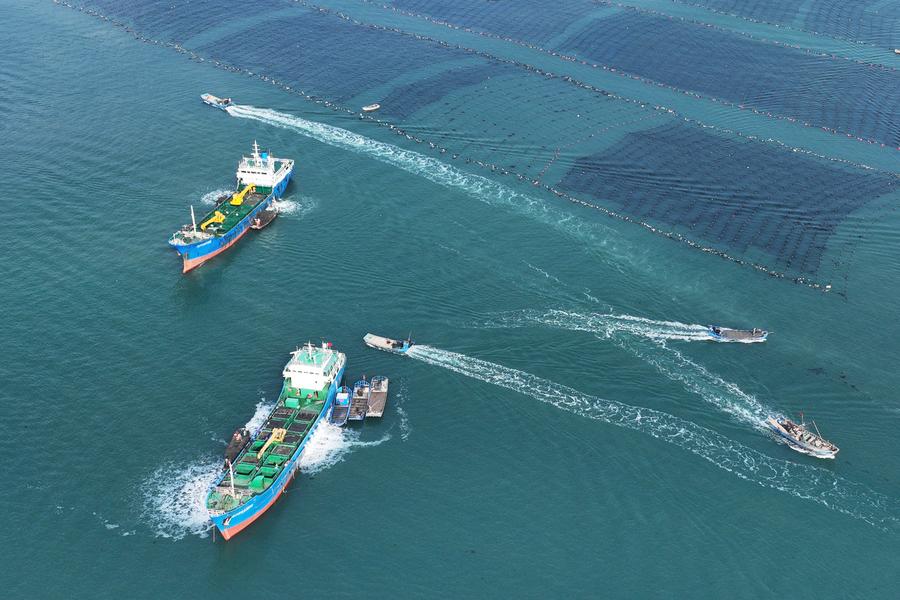 Shandong builds marine farms to enrich 