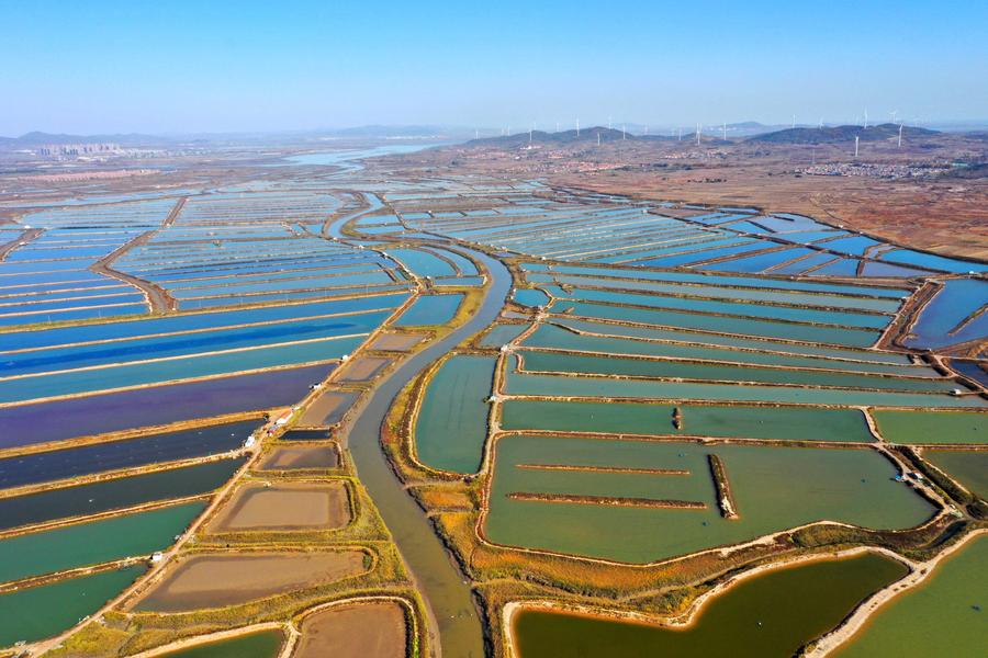 Shandong builds marine farms to enrich 