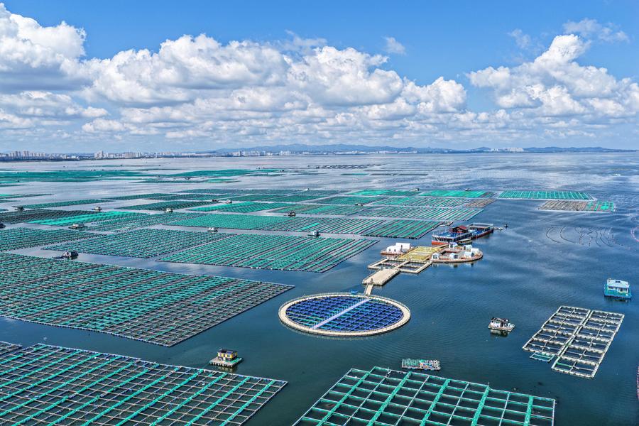 Shandong builds marine farms to enrich 
