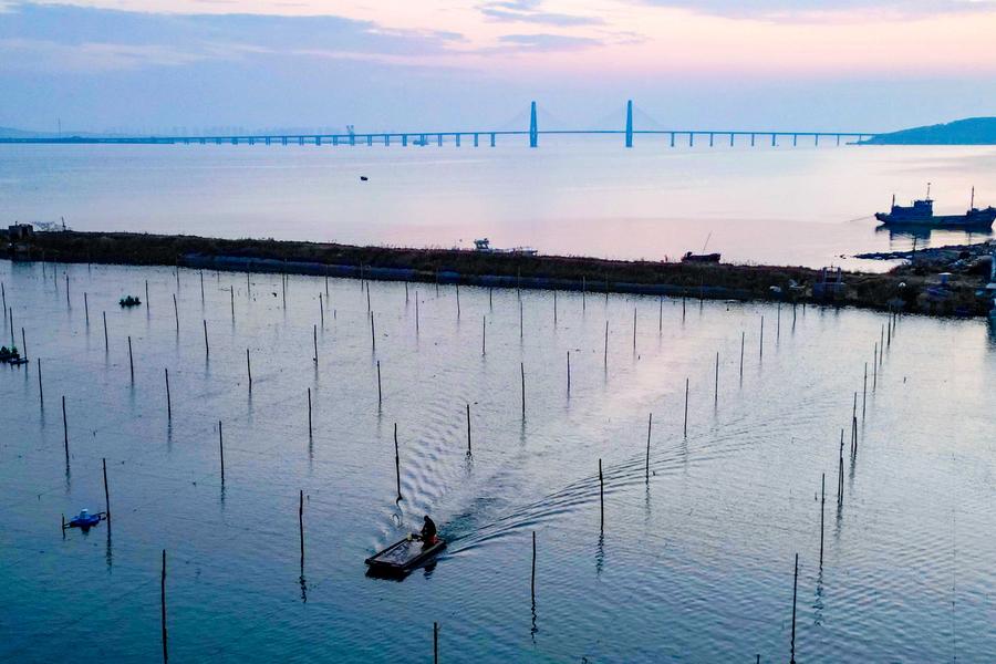 Shandong builds marine farms to enrich 